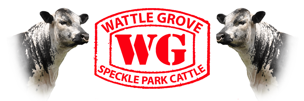 Wattle Grove Speckle Park Logo